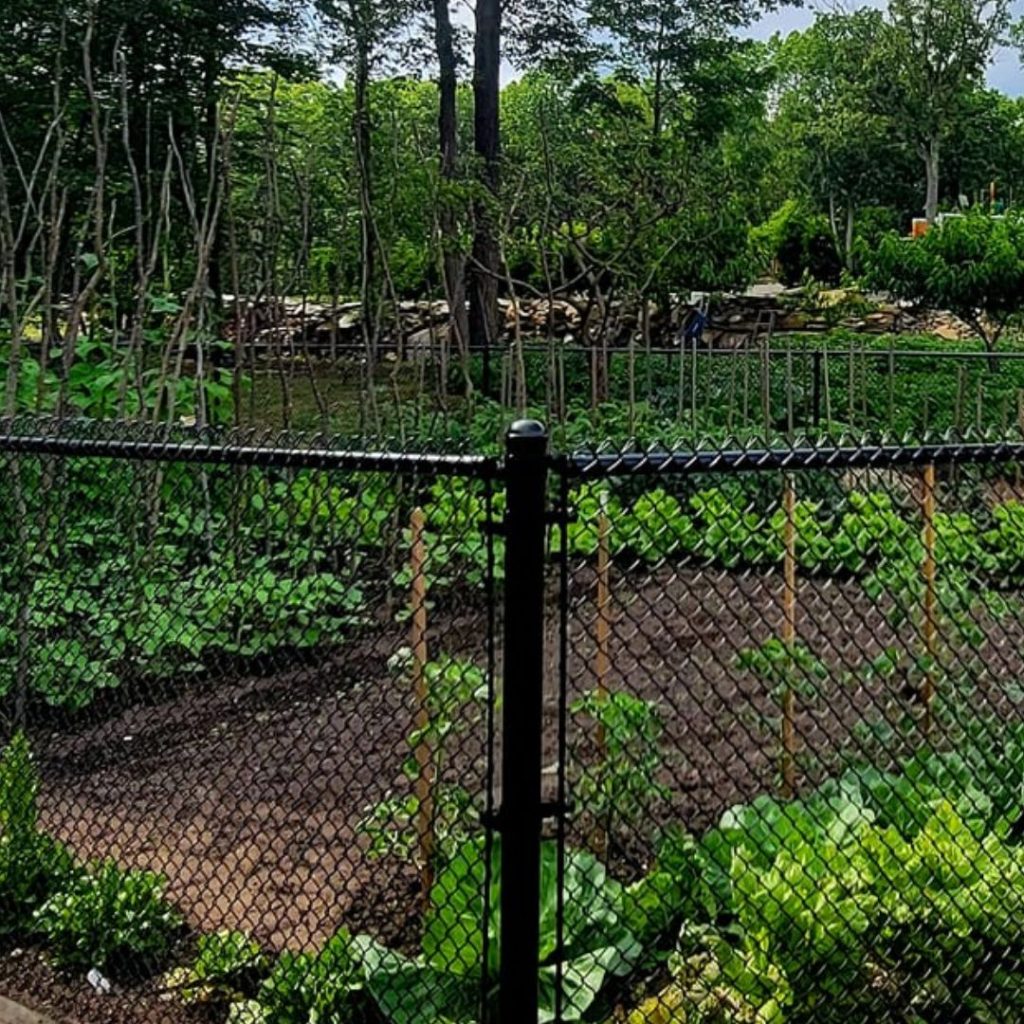 Posts and rails