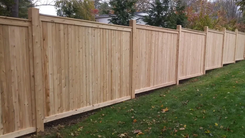 Cedar fence mainteinance