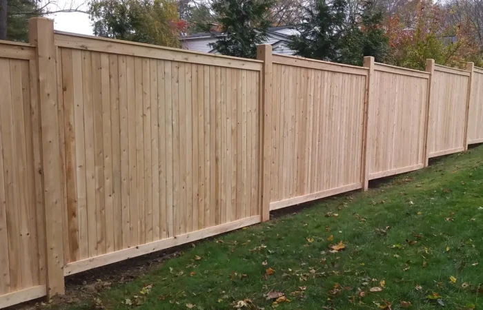 Cedar fence mainteinance